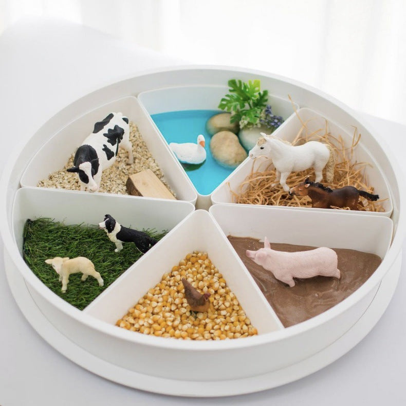 Sydney Sensory Play Tray with 6 removable compartments and usable lid.